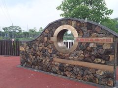 -王借岗森林公园