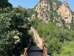-大岭沟猕猴桃谷风景区