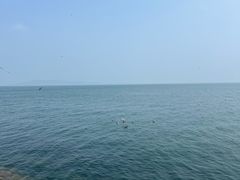-悦海公园