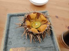 -海胆小馆(东北水饺·春柳店)