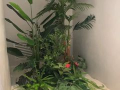 -涨巢·潮玩水疗局