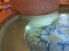 -麓湖国际水疗