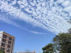 -广东金融学院(校本部)