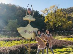 -千年银杏谷文化旅游区