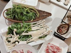 -印象高密·凤都国际大酒店