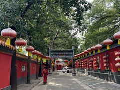 -白家大院·王府宫廷菜(苏州街店)