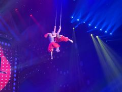 -珠海横琴长隆《卡卡虎奇遇记》