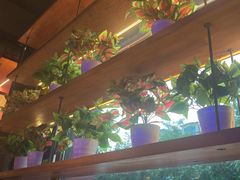 -AK47烤羊腿串吧(柳浪家园店)