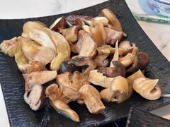 -蘑统田下·野生菌火锅