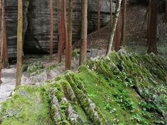 -梭布垭石林景区