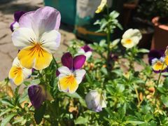 -国生茶庄·地道农家菜团建活动