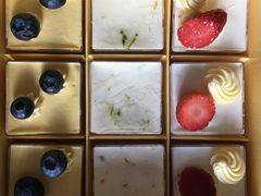 -维尔纳斯·生日蛋糕动物奶油冰淇淋蛋糕(人大店)
