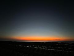 -春花秋色城市公园