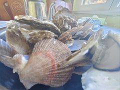 -宾朋海鲜饭庄(兴海路店)