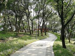 -上海市保健医疗中心(华东疗养院)