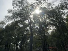 -石峰公园