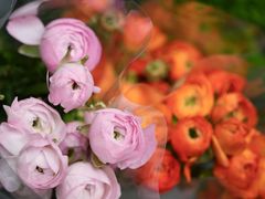 -循礼门鲜花花市(武汉循礼门店)