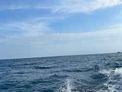 -小猫钓鱼海钓俱乐部(椰梦长廊店)