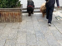 -迪庆藏族自治州博物馆