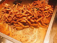 -周小亮丁家坡洋芋(全国总店)