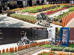 -Money Shops(愚园路店)