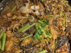 -老板恋上鱼(恒隆广场店)