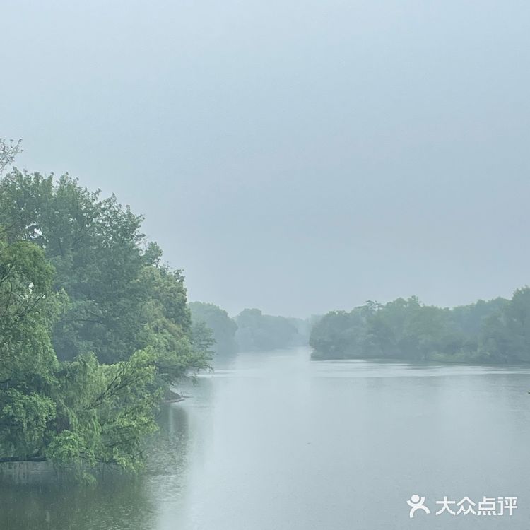 西溪湿地旅游团大自然的雨后韵味