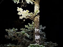 -九峰山