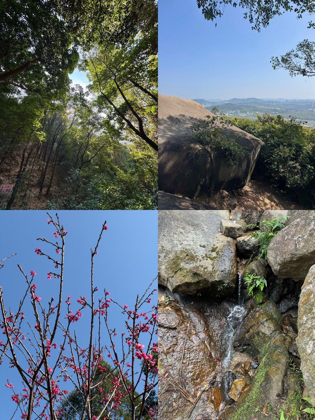 火炉山森林公园🍃🌳