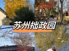-拙政园