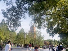-大慈恩寺(大雁塔)