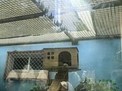 -青藏高原野生动物园