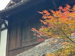-中国茶叶博物馆(双峰馆区)
