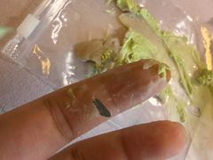 -纯坊佳哥手作(江汉路店)