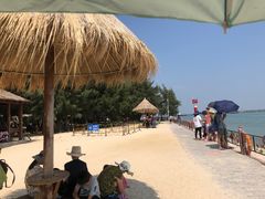 -北海金海湾红树林生态旅游区