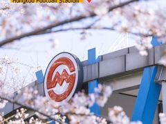-顾村公园