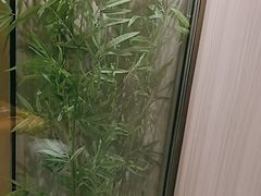 -颐信康足道spa采耳养生馆