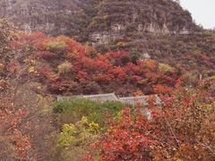 -狼牙山风景区
