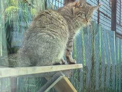 -青藏高原野生动物园