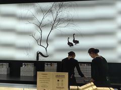 -BLACKSWAN黑天鹅(环球店)