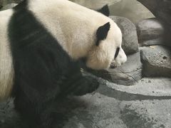 -青藏高原野生动物园