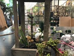 -植物学家的女儿(北马道巷店)