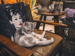 -咖法森林·咖啡  酒吧(天河店)