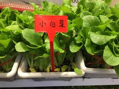 -梅花香里大酒店(郁金香路店)