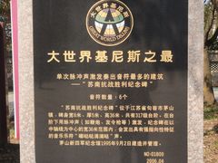 -句容茅山景区