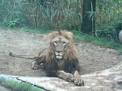 -北京野生动物园