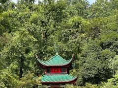 -万泊酒店(长沙五一广场国金中心店)