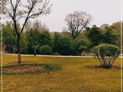 -潇河湿地公园