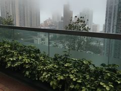 -香港大学
