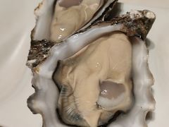 -LONG BAR 廊吧(外滩华尔道夫酒店)